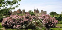 Penshurst Place and Gardens 1075724 Image 5